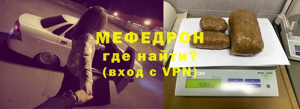 сатива Новозыбков
