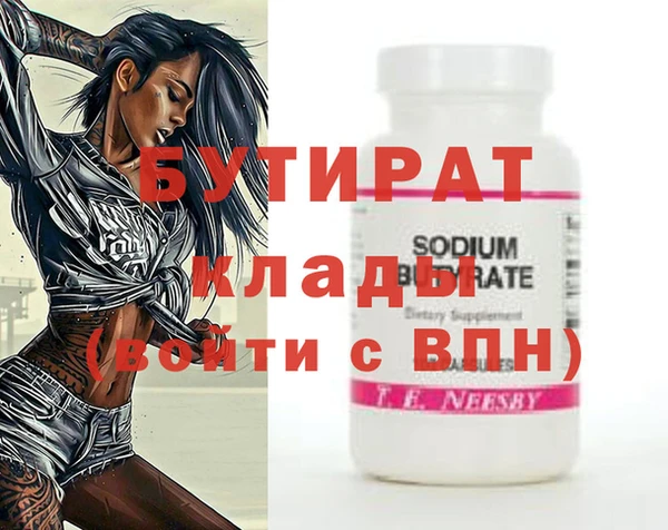сатива Новозыбков