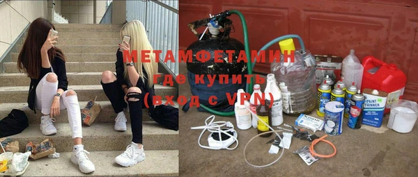 сатива Новозыбков