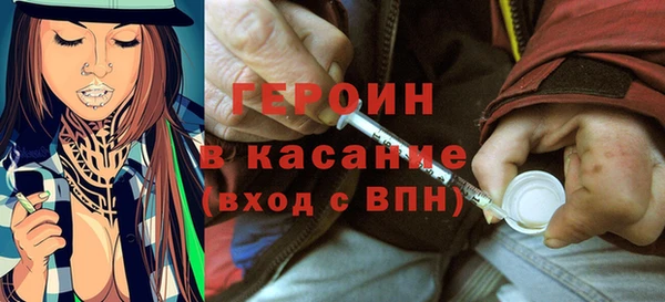 сатива Новозыбков