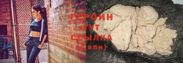 сатива Новозыбков